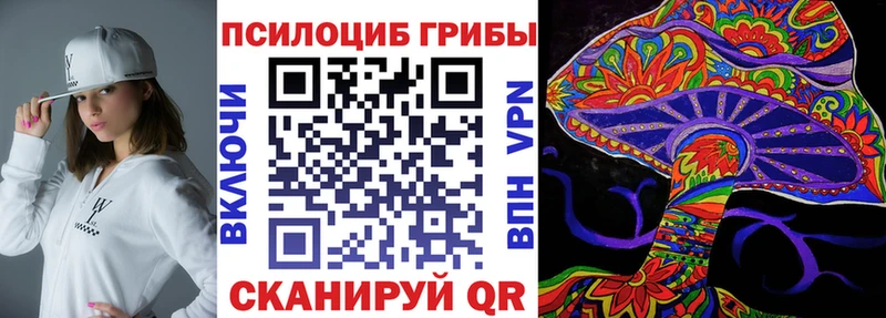 Псилоцибиновые грибы прущие грибы  Кедровый 